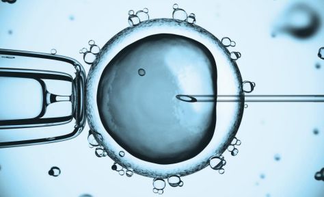 好孕故事